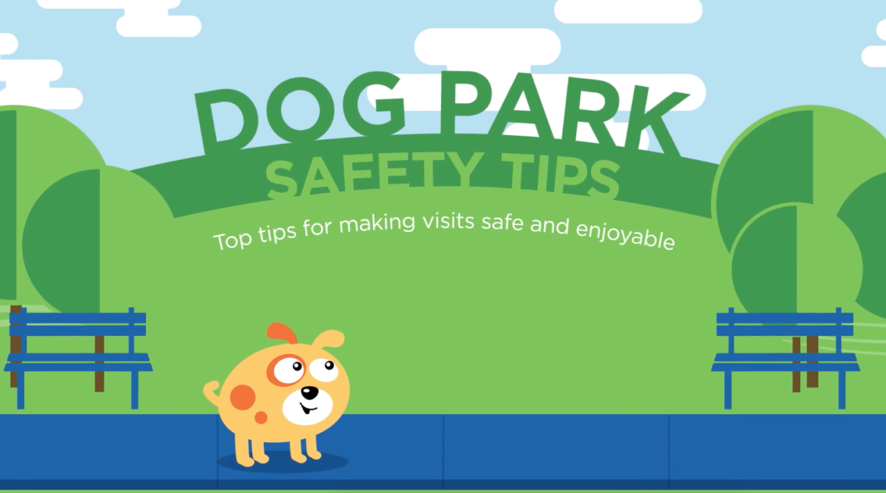 Dog Park Safety Tips